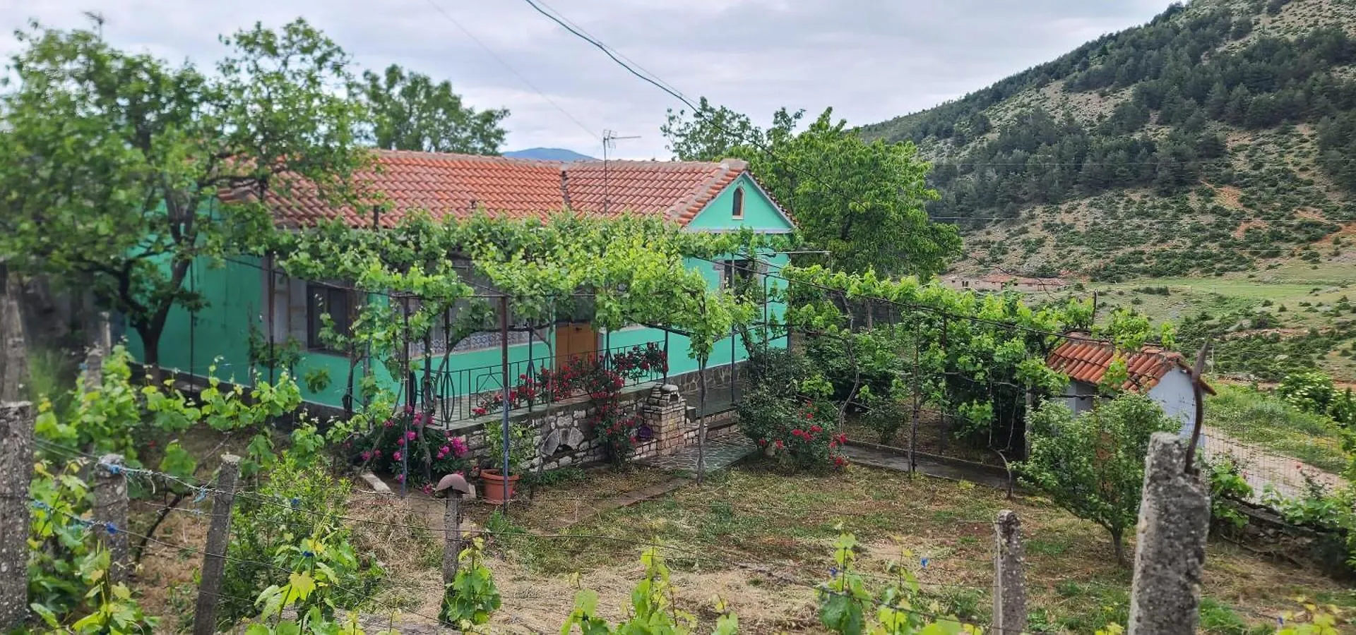 House In Leskovik Villa