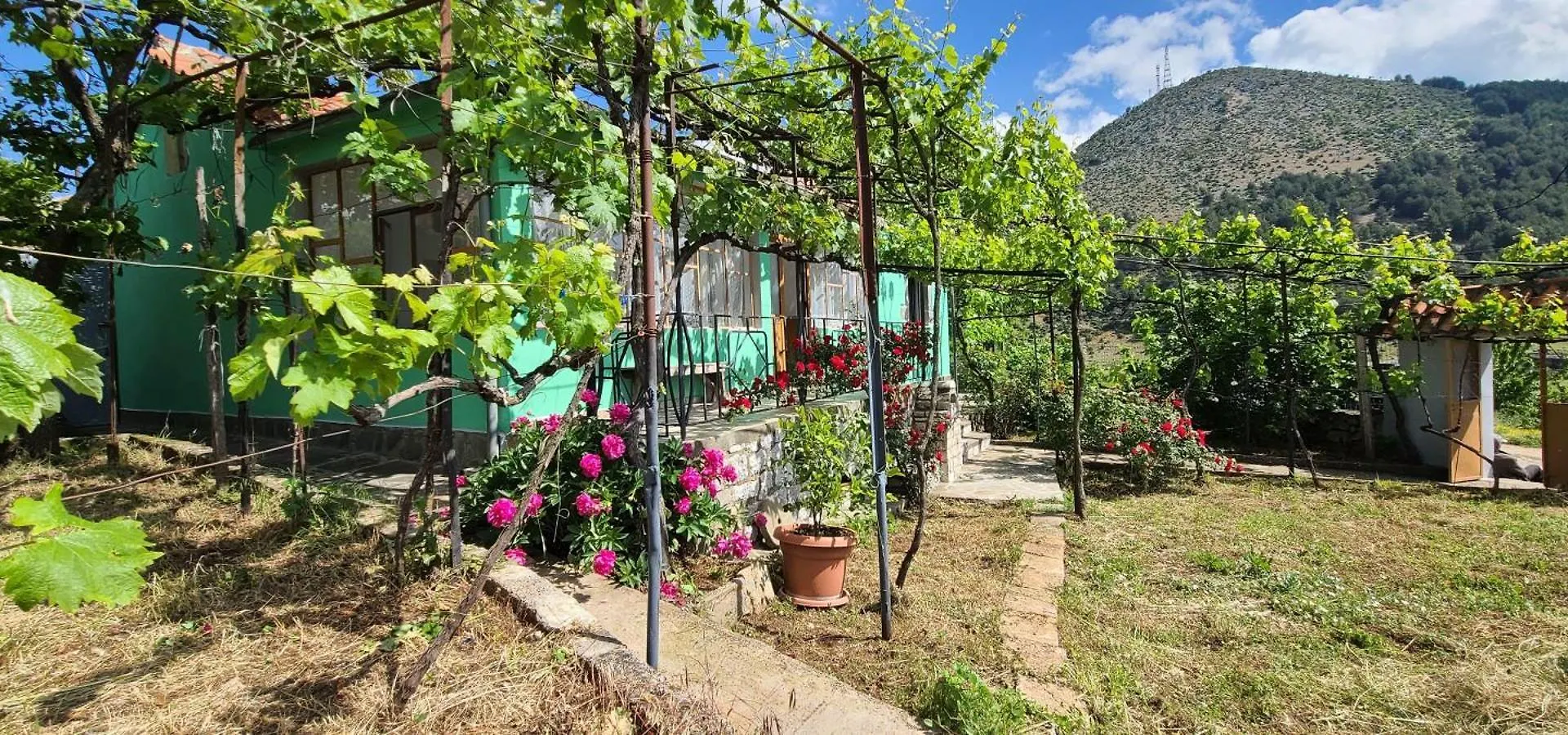 House In Leskovik Villa Tatil Evi